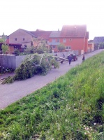 2014.04.30 - Maibaum (03).JPG