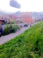 2014.04.30 - Maibaum (04).JPG