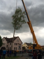 2015.04.30 - Maibaum (12).JPG