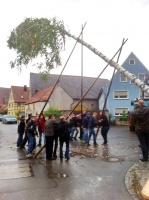 2014.04.30 - Maibaum (26).JPG