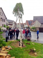 2014.04.30 - Maibaum (27).JPG