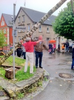 2014.04.30 - Maibaum (30).JPG
