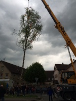 2015.04.30 - Maibaum (14).JPG