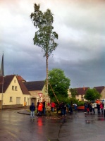 2014.04.30 - Maibaum (38).JPG