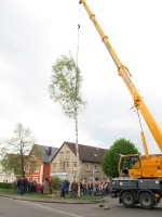 2015.04.30 - Maibaum (23).JPG