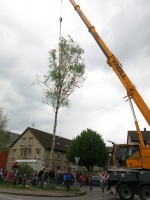 2015.04.30 - Maibaum (24).JPG