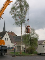 2015.04.30 - Maibaum (27).JPG