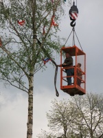 2015.04.30 - Maibaum (28).JPG