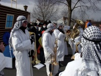 2006.02.27 - Umzug Veitsöchheim (12).JPG