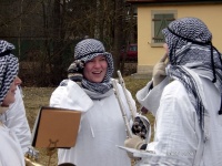 2006.02.28 - Faschingsumzug Aub (08).JPG