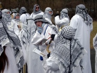 2006.02.28 - Faschingsumzug Aub (10).JPG